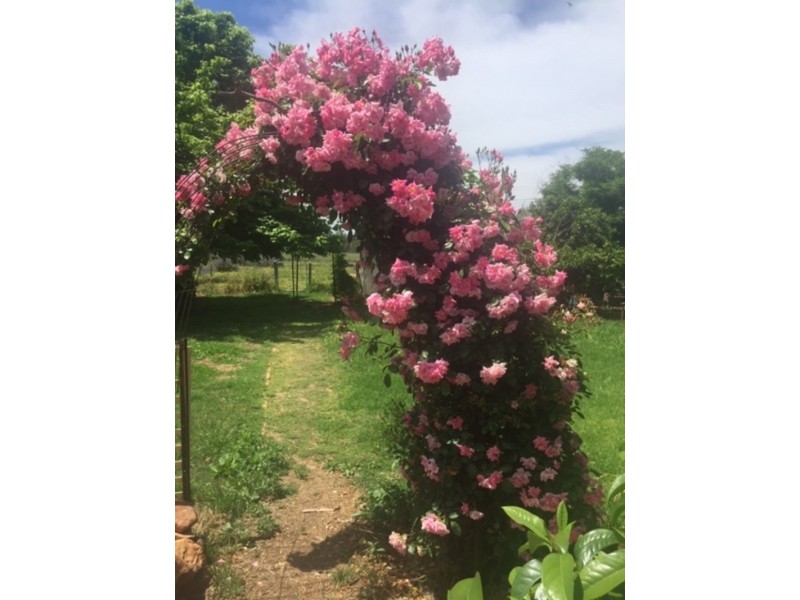 34-36 East street, Gooloogong NSW 2805