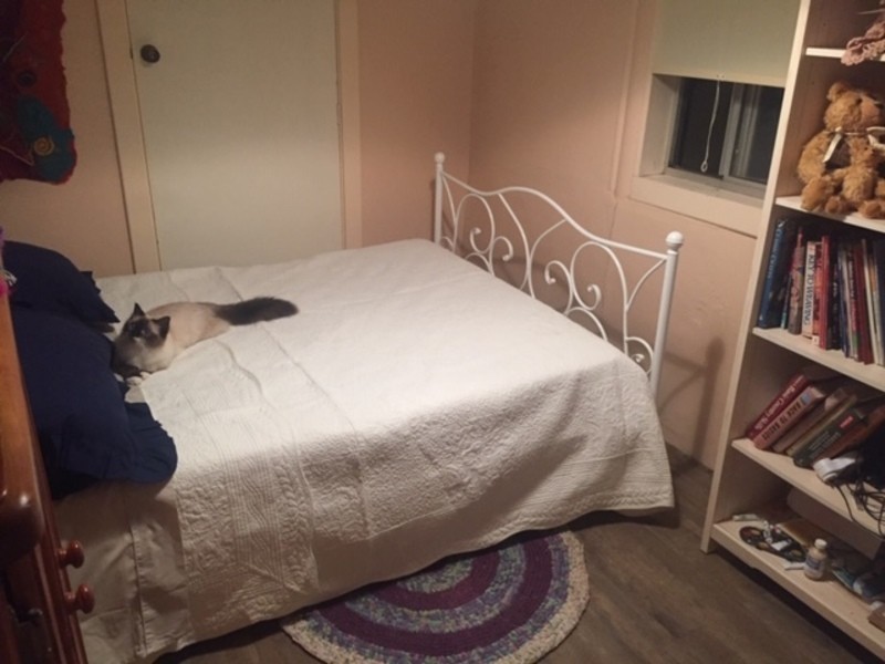 34-36 East street, Gooloogong NSW 2805