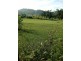 Mena Creek QLD 4871