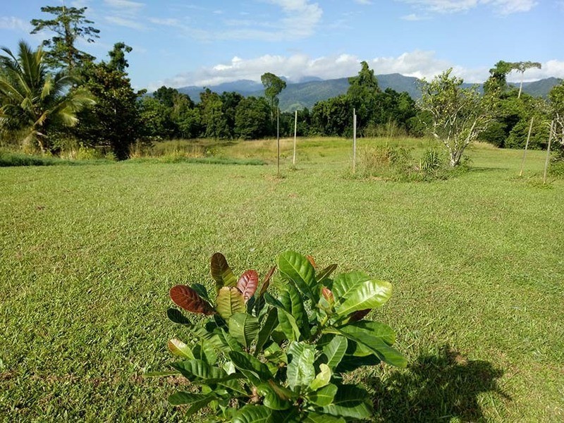 Mena Creek QLD 4871