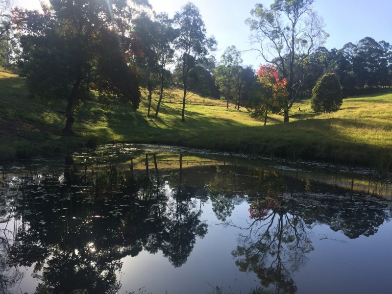 Kurrajong NSW 2758