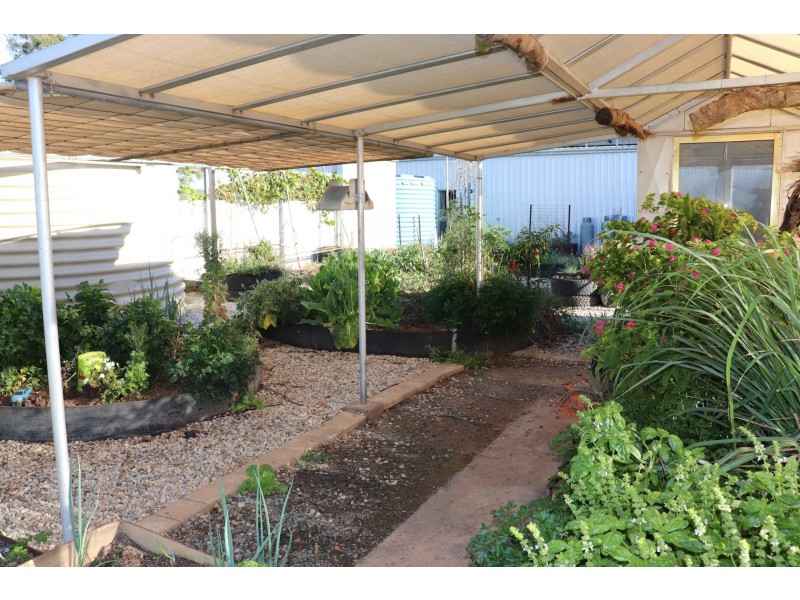 85 Rosser Road, Peak Hill NSW 2869