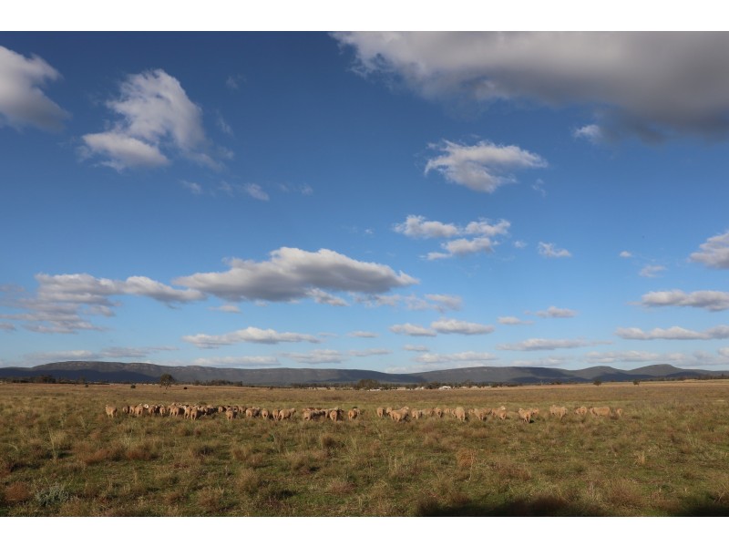 85 Rosser Road, Peak Hill NSW 2869