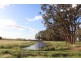 85 Rosser Road, Peak Hill NSW 2869