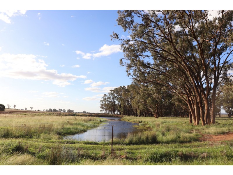85 Rosser Road, Peak Hill NSW 2869