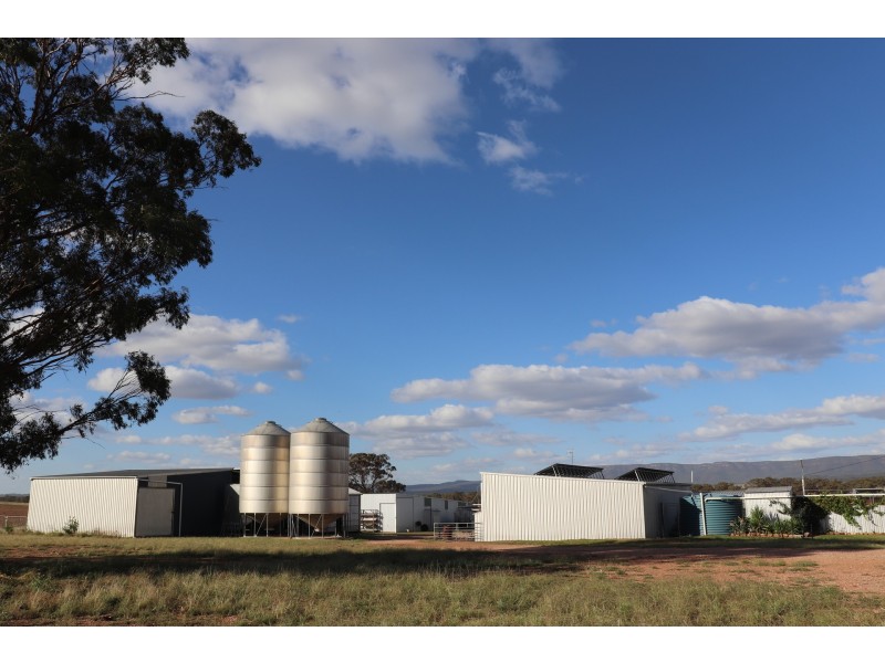 85 Rosser Road, Peak Hill NSW 2869