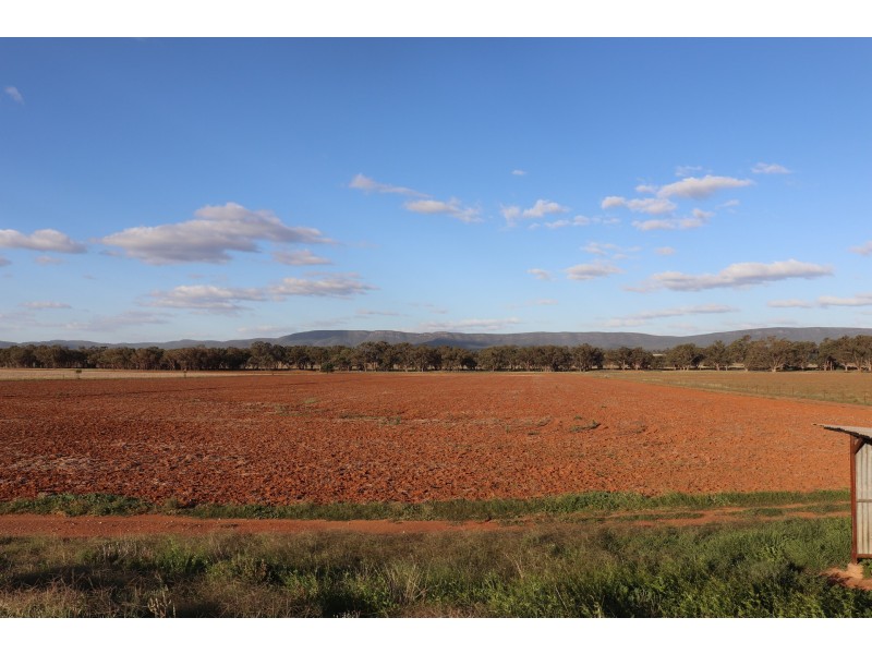 85 Rosser Road, Peak Hill NSW 2869