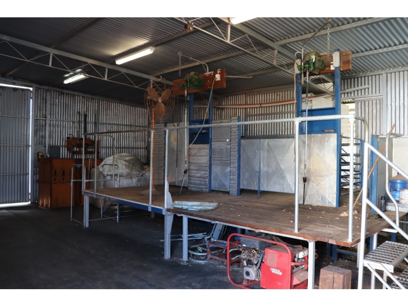 85 Rosser Road, Peak Hill NSW 2869