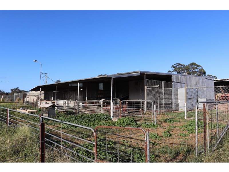 85 Rosser Road, Peak Hill NSW 2869