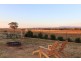85 Rosser Road, Peak Hill NSW 2869