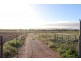 85 Rosser Road, Peak Hill NSW 2869