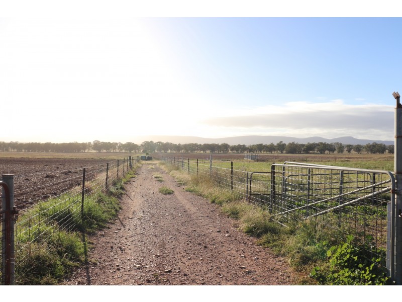 85 Rosser Road, Peak Hill NSW 2869