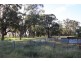 85 Rosser Road, Peak Hill NSW 2869