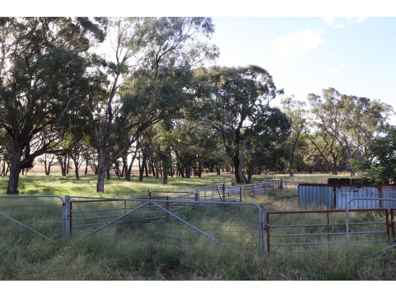 85 Rosser Road, Peak Hill NSW 2869
