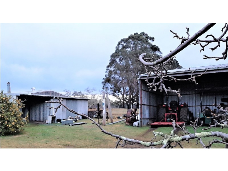 395 Wairewa Road, Wairewa VIC 3887