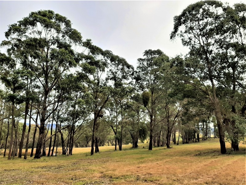 395 Wairewa Road, Wairewa VIC 3887