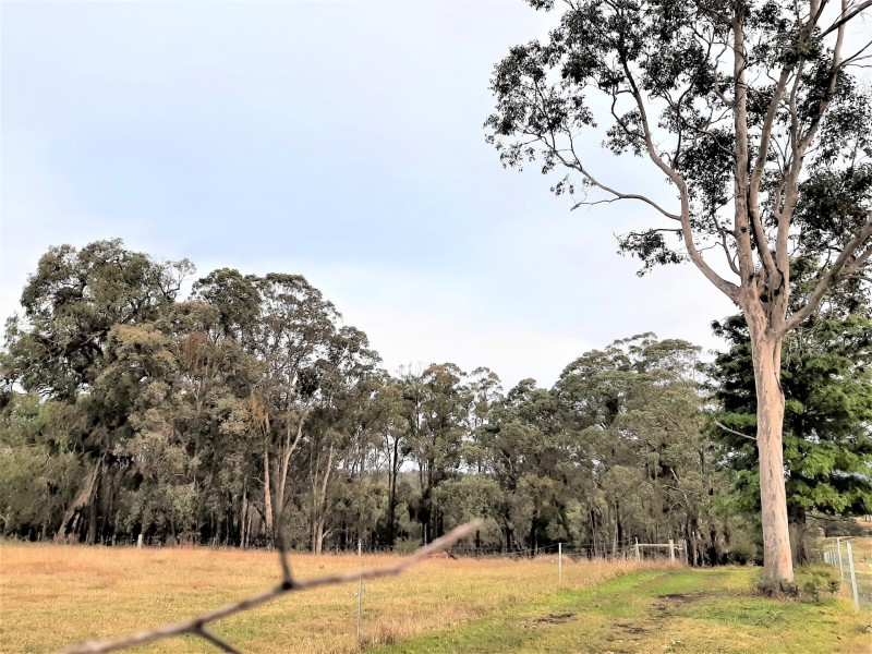 395 Wairewa Road, Wairewa VIC 3887