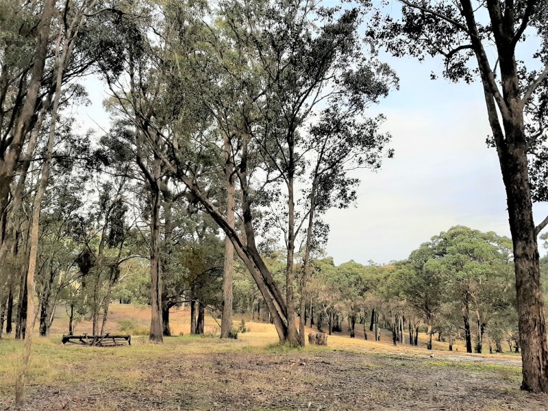 395 Wairewa Road, Wairewa VIC 3887