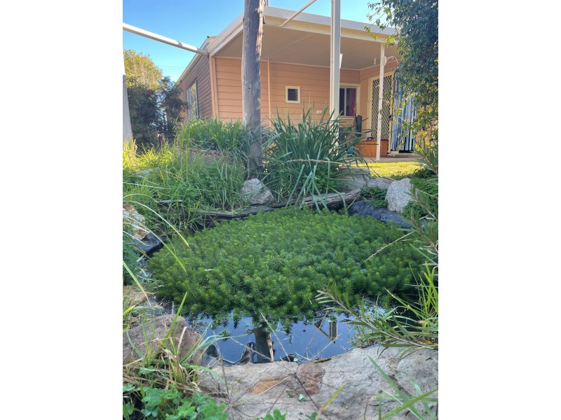 41 Thornber Street, Oaklands NSW 2646