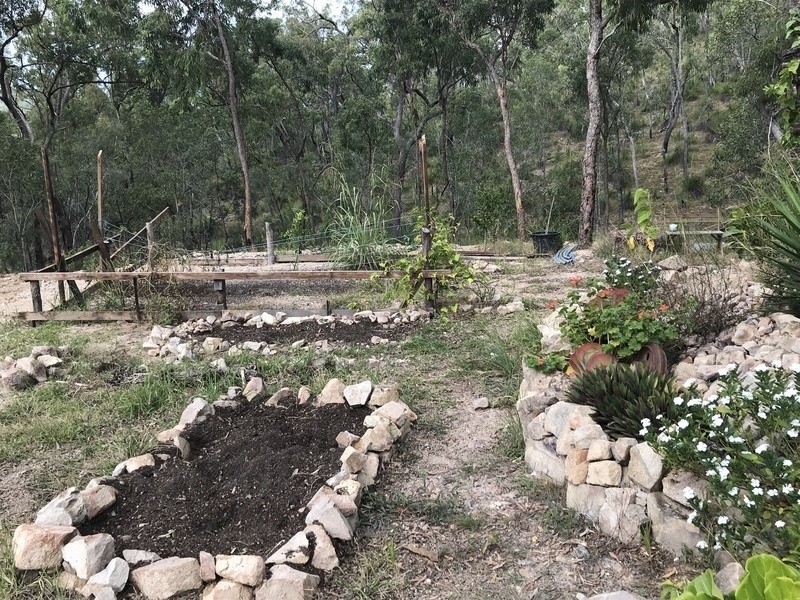 705 Murphy Road, Captain Creek QLD 4677