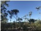 705 Murphy Road, Captain Creek QLD 4677
