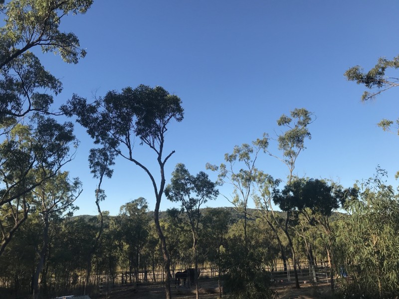 705 Murphy Road, Captain Creek QLD 4677