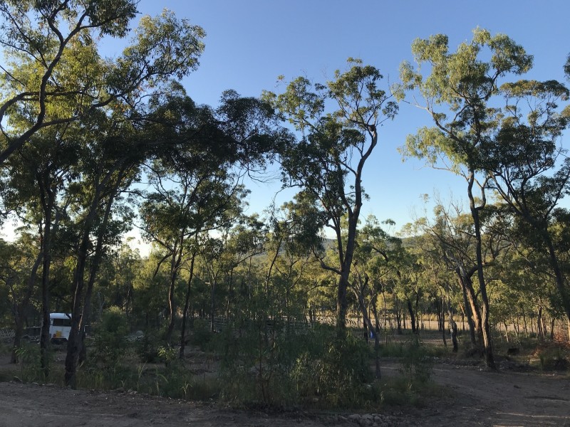 705 Murphy Road, Captain Creek QLD 4677