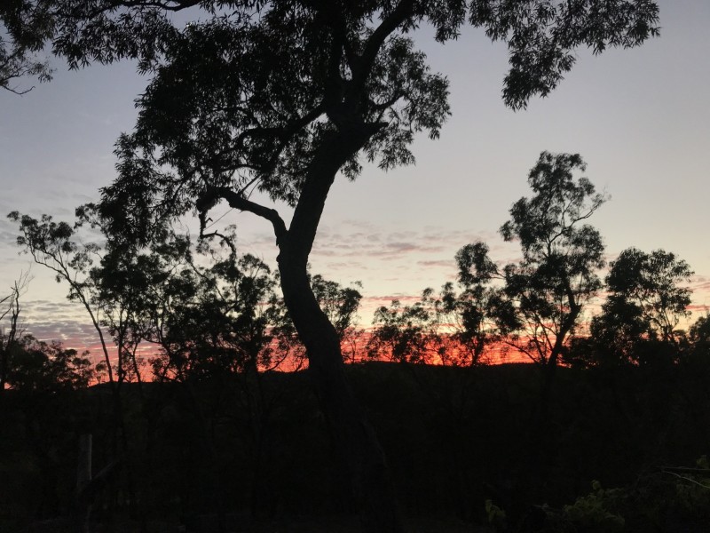 705 Murphy Road, Captain Creek QLD 4677