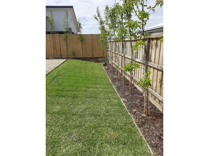 7 Scott Avenue, Torquay VIC 3228