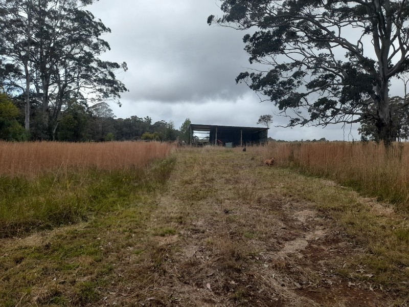 450 Cradle Creek Road, Lowanna NSW 2450