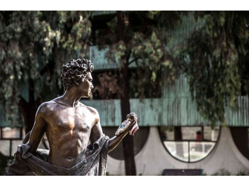 2/219 Napier Street, Fitzroy VIC 3065