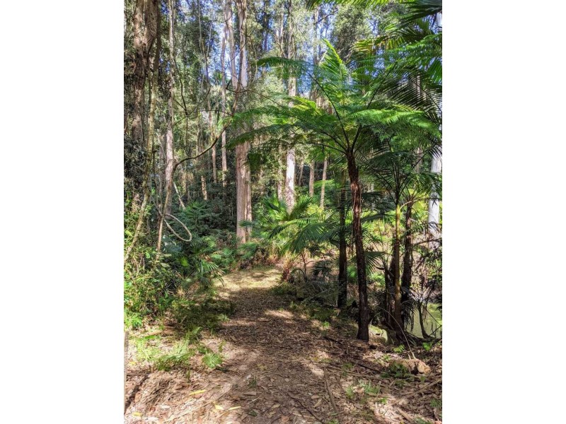 19 Valerie Close, Fountaindale NSW 2258