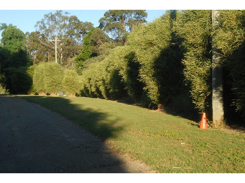 715 Wilsons Pocket Road, Wilsons Pocket QLD 4570