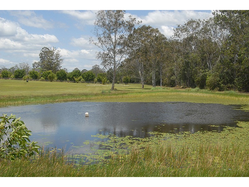 715 Wilsons Pocket Road, Wilsons Pocket QLD 4570