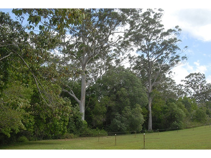715 Wilsons Pocket Road, Wilsons Pocket QLD 4570