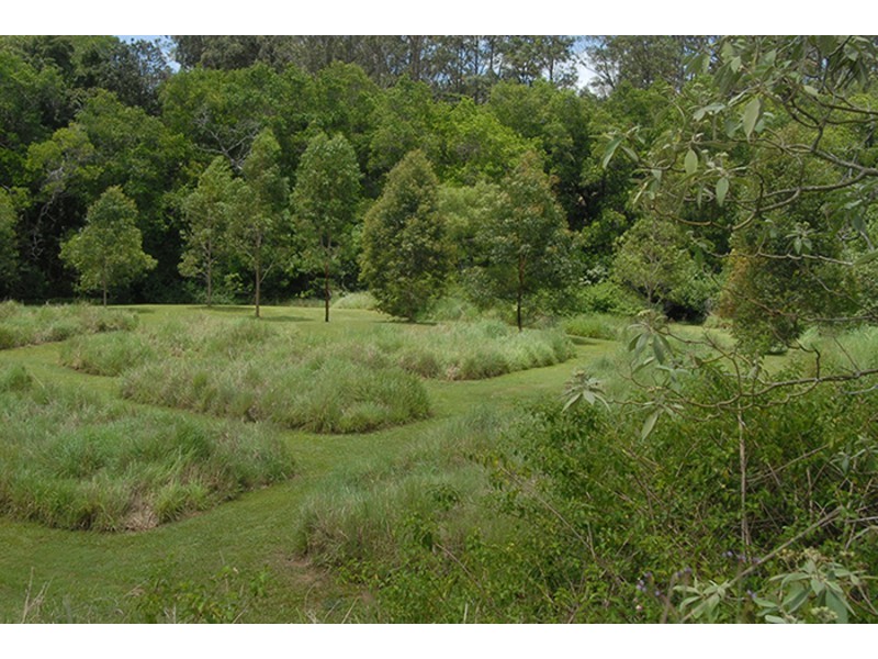 715 Wilsons Pocket Road, Wilsons Pocket QLD 4570