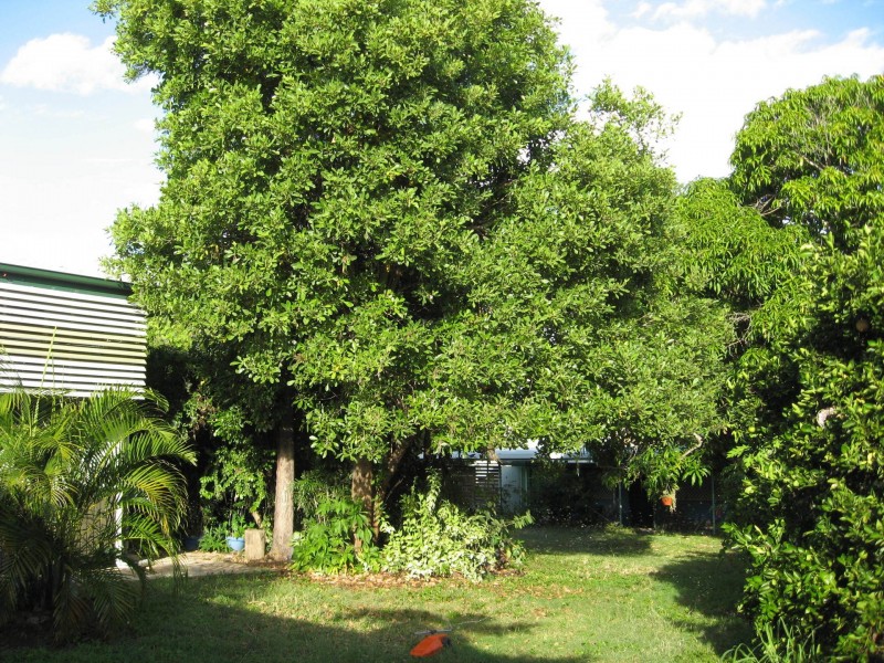 Charters Towers QLD 4820