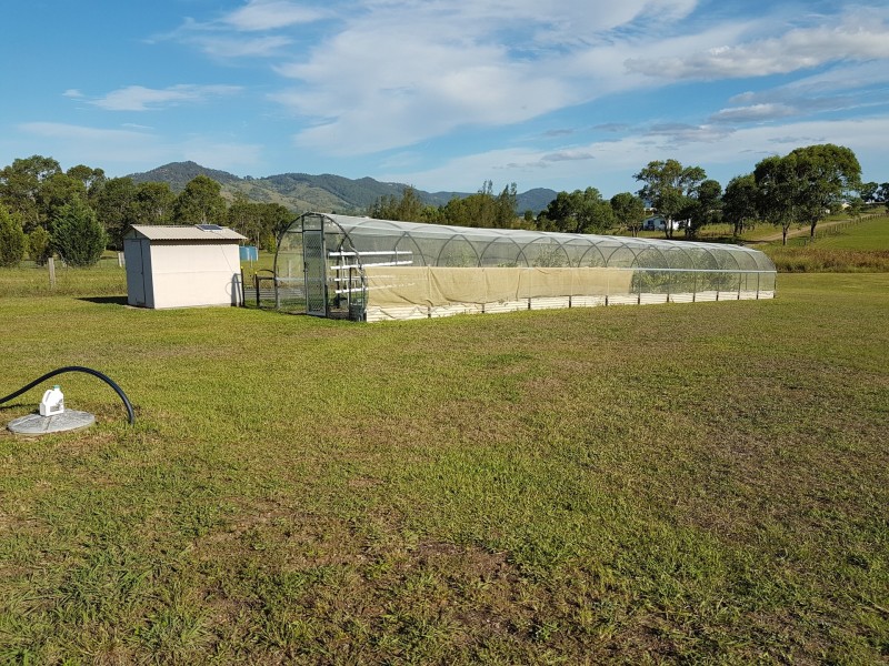 33 MOONLIGHT CCT, Gloucester NSW 2422