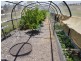 33 MOONLIGHT CCT, Gloucester NSW 2422