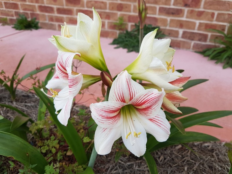 33 MOONLIGHT CCT, Gloucester NSW 2422