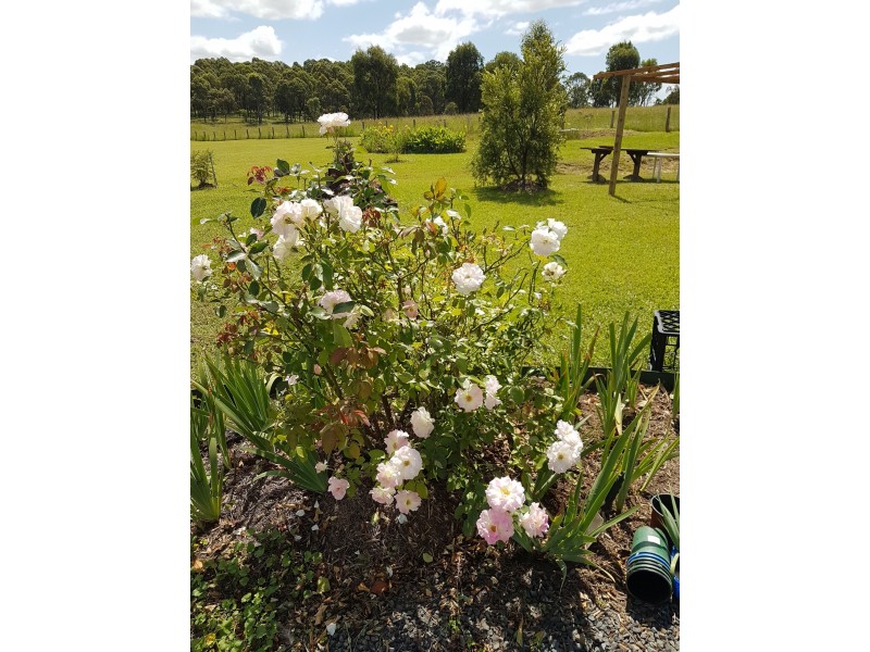 33 MOONLIGHT CCT, Gloucester NSW 2422