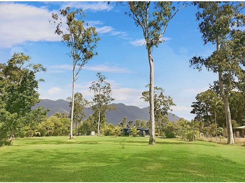 653 Ellerbeck Road, Cardwell QLD 4849