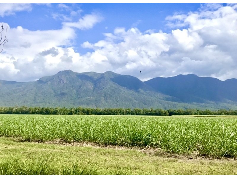 653 Ellerbeck Road, Cardwell QLD 4849