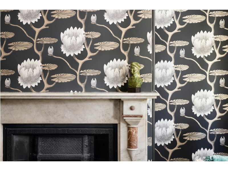 67 Paddington Street, Paddington NSW 2021