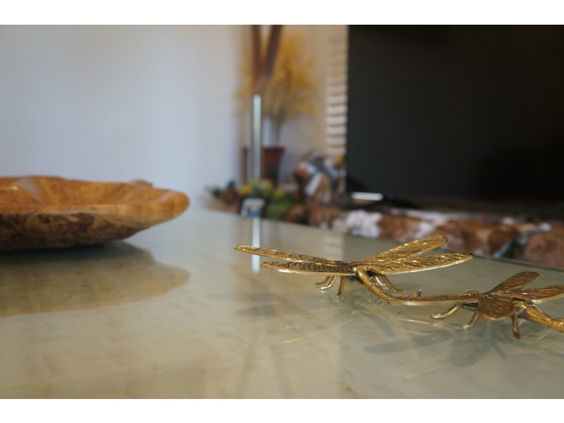 50 Baty Street, St Lucia QLD 4067