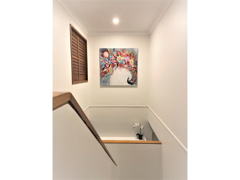 50 Baty Street, St Lucia QLD 4067