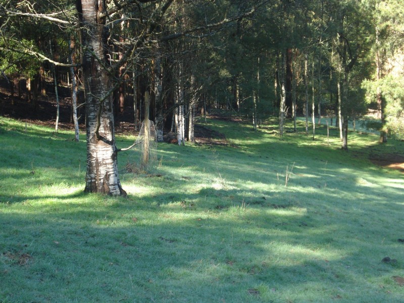 2005 Hatchery Road, Grand Ridge VIC 3870