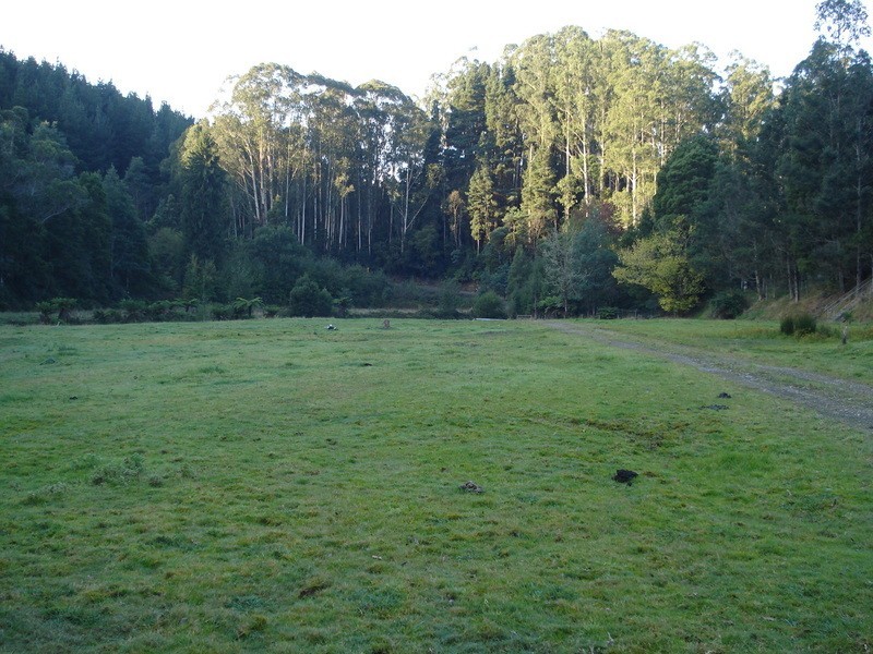 2005 Hatchery Road, Grand Ridge VIC 3870