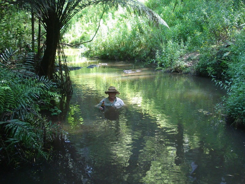 2005 Hatchery Road, Grand Ridge VIC 3870