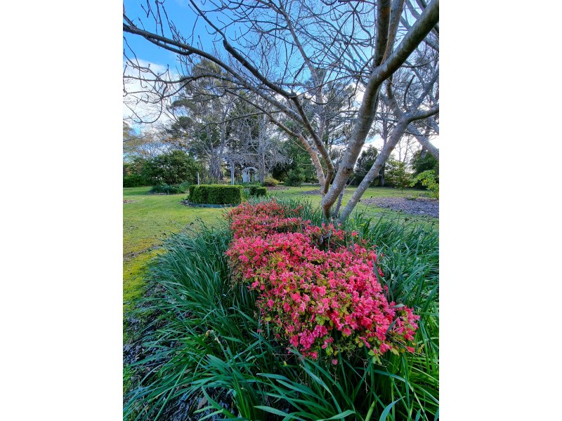 91 Coal Hill Road, Latrobe TAS 7307